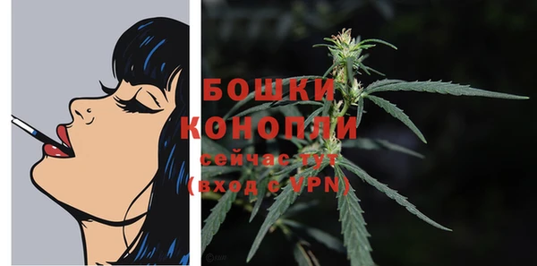 PSILOCYBIN Богородицк