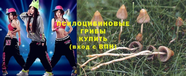 mdpv Богданович