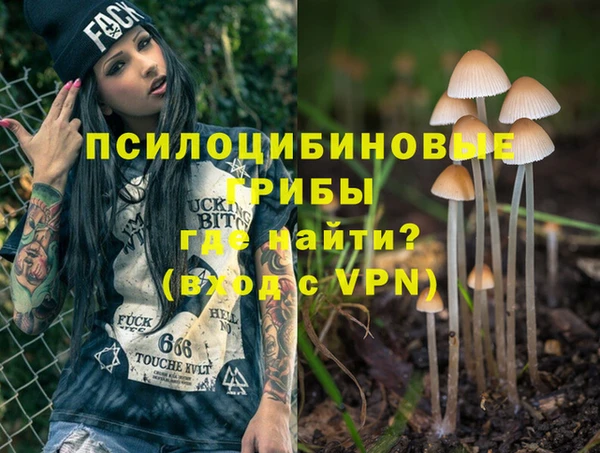 mdpv Богданович
