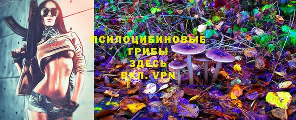 PSILOCYBIN Богородицк